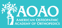 AOAO Annual Meeting – 2016