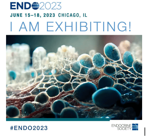 endo 2023